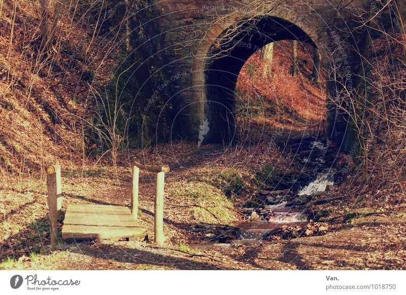 Tunnelblick Umwelt Natur Herbst Gras Sträucher Blatt Wald Bach Wege & Pfade braun rot Brücke Steg Unterführung Farbfoto Gedeckte Farben Außenaufnahme