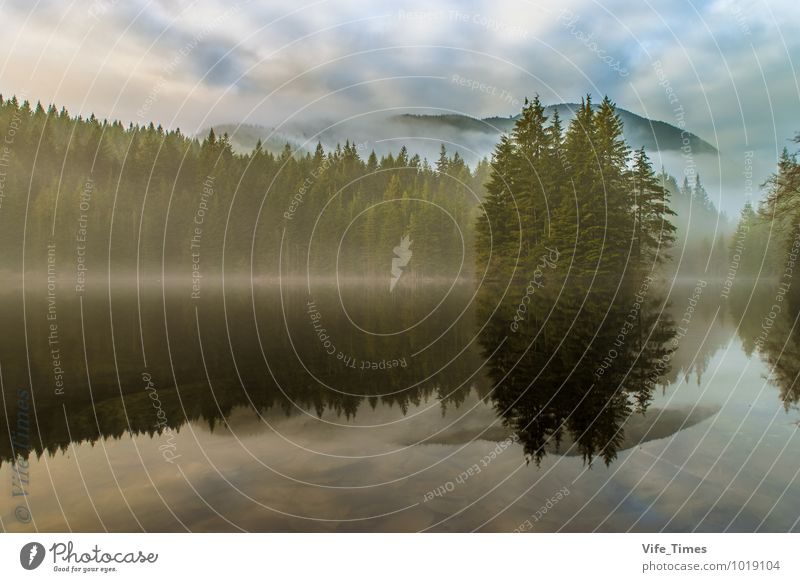 Nebliger Sonnenuntergang am See Natur Landschaft Pflanze Wasser Wolken Sonnenaufgang Winter Wetter Nebel Baum Wald Urwald Berge u. Gebirge Seeufer Reissee