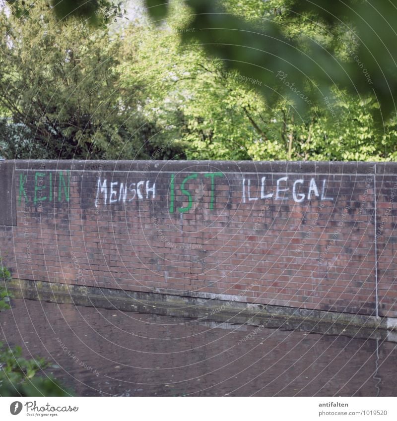 KEIN MENSCH IST ILLEGAL Kunst Graffiti Typographie Natur Frühling Sommer Baum Park Düsseldorf Mauer Wand Backstein Schriftzeichen Aussage aussagekräftig