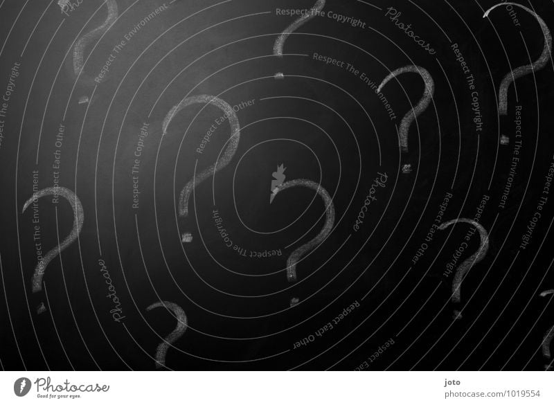 wer nicht fragt, bleibt dumm. Bildung Schule Tafel Zeichen Schriftzeichen Schilder & Markierungen Neugier schwarz Sorge geheimnisvoll Krise Problemlösung Rätsel