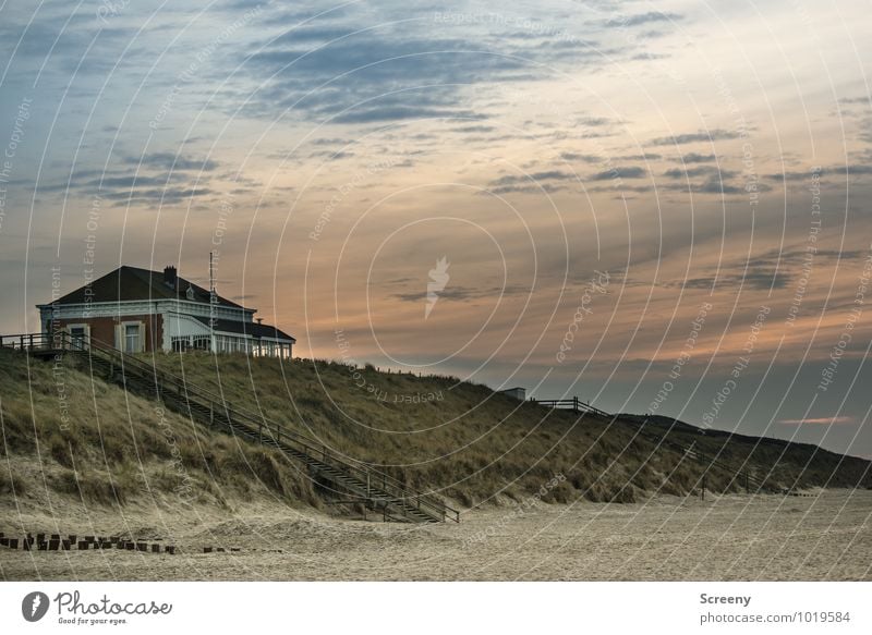 Haus am Strand Ferien & Urlaub & Reisen Tourismus Ausflug Natur Landschaft Himmel Sonnenaufgang Sonnenuntergang Seeufer Nordsee Düne Domburg Niederlande Bauwerk