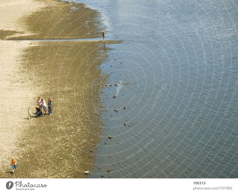 PUSH PUSH, PUSH PUSH, PUSH P ... Dresden Elbe Fluss Flussufer Wasser Niedrigwasser Elbwiese Strand Strandspaziergang Frau 3 Kind Kinderwagen Ausflug