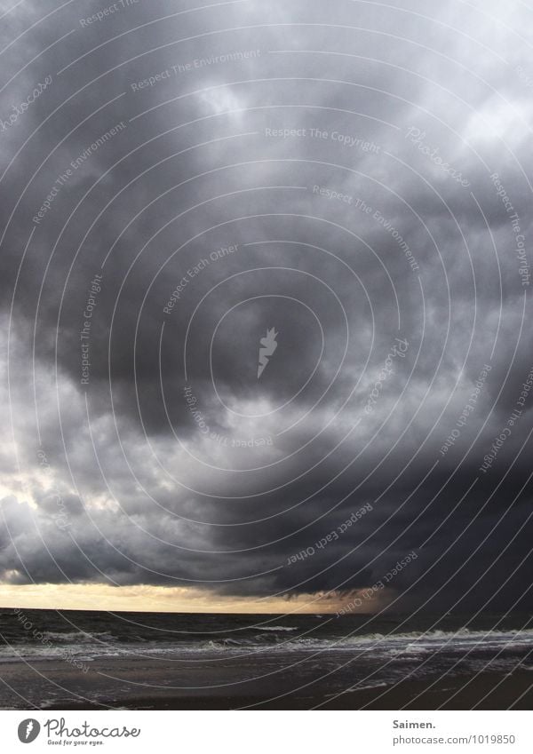 ganz steife brise Umwelt Natur Landschaft Urelemente Sand Luft Wasser Himmel Wolken Gewitterwolken Wetter schlechtes Wetter Unwetter Wind Sturm Regen Wellen