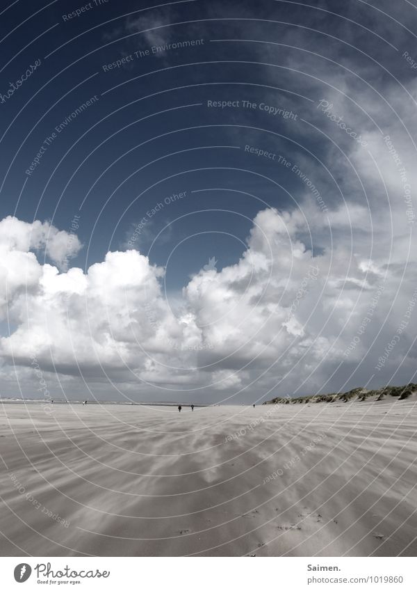 Strandspaziergang Umwelt Natur Landschaft Urelemente Sand Luft Wasser Himmel Wolken Sommer Wetter Wind Sturm Küste Nordsee bedrohlich natürlich blau braun