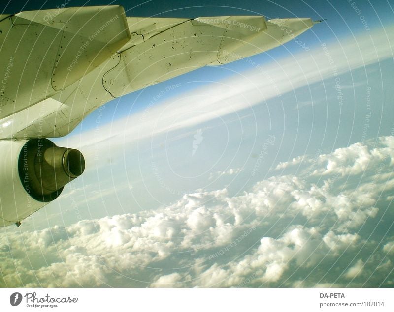 auf und davon... Flugzeug Wolken weiß Himmel Wolkendecke Horizont Ferne tief Triebwerke Umwelt Luftverkehr Radarstation Absturzgefahr gleiten Schweben Meer