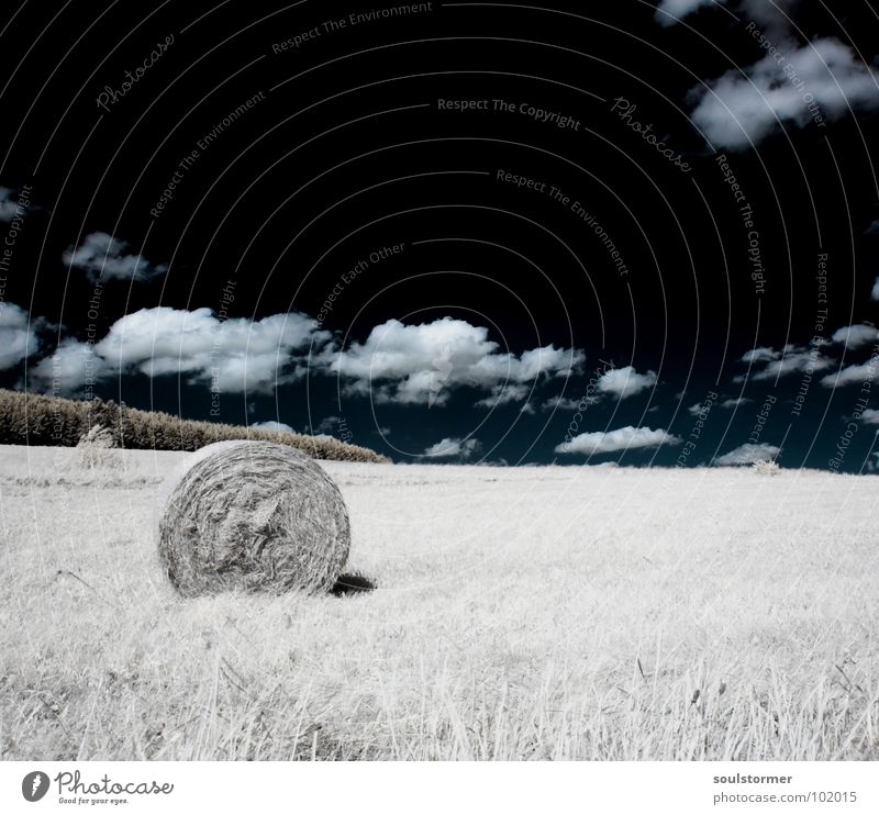 Heuballen mal anders... Infrarotaufnahme Farbinfrarot Schwarzfilter Wolken schwarz weiß Holzmehl Licht Gras Wiese Pflanze grün Baum Waldrand Wäldchen Futter