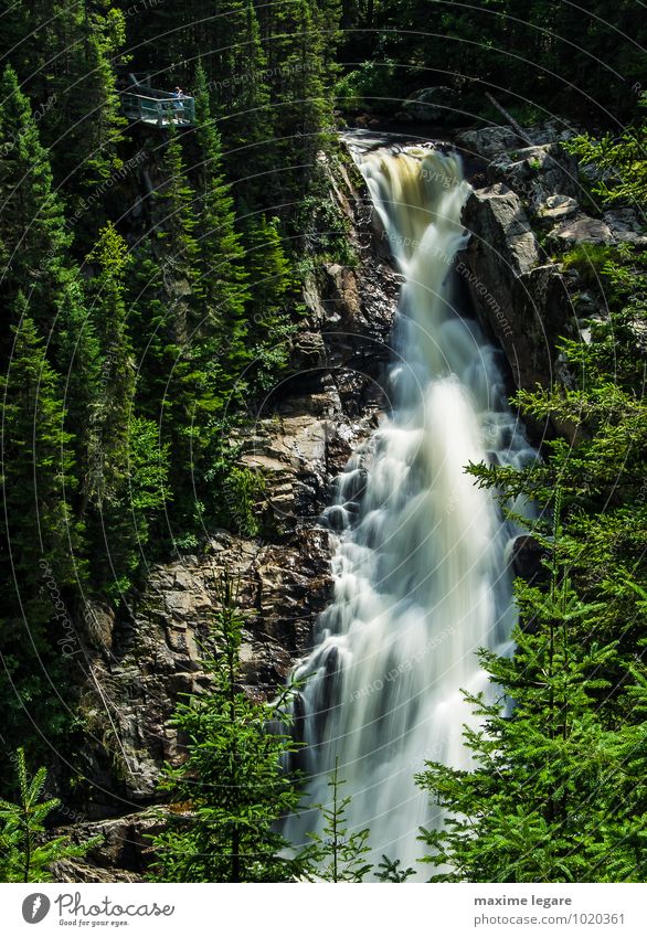 Chute de la rivière noire noire Trekking Tourismus Abenteuer Freiheit Expedition Sommer Sommerurlaub Berge u. Gebirge wandern Umwelt Natur Landschaft Urelemente