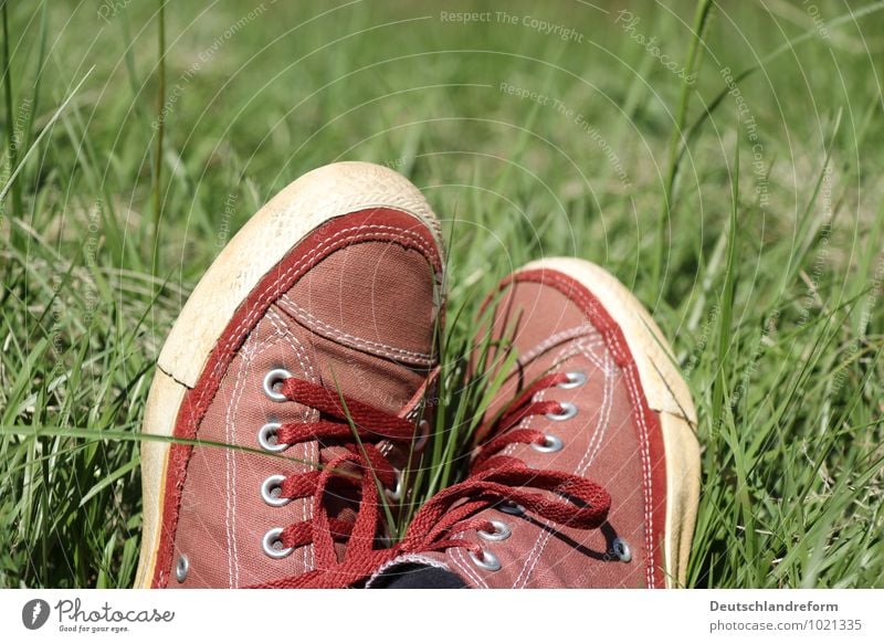 summer time Lifestyle Stil Wohlgefühl Zufriedenheit Erholung Sommer Sonne Wiese Mode Schuhe Turnschuh Chucks grün rot Coolness Gelassenheit ruhig Converse