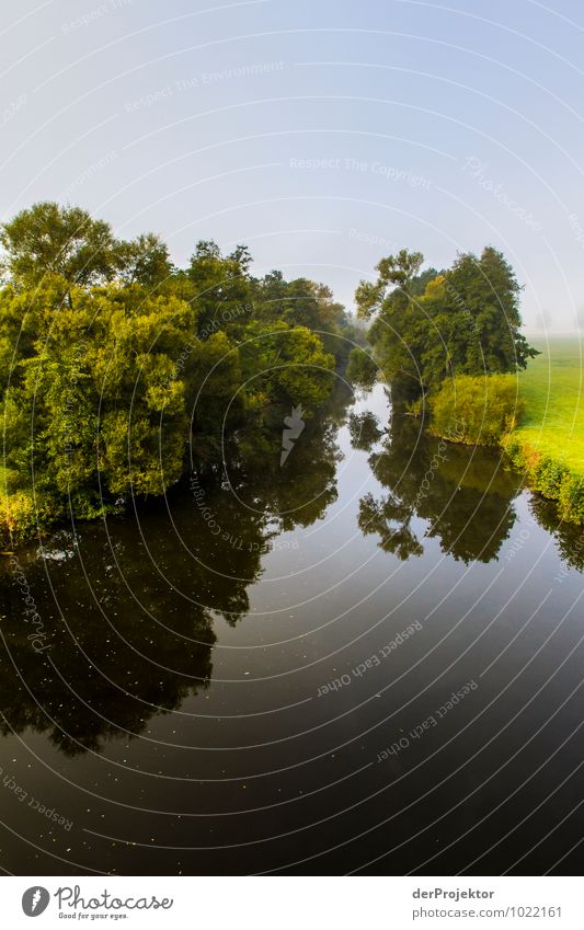 Morgens im Herbst am Fluss Ferien & Urlaub & Reisen Tourismus Ausflug Abenteuer Umwelt Natur Landschaft Pflanze Tier Urelemente Schönes Wetter Nebel Baum