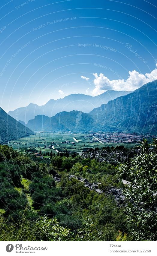 Richtung Arco Ferien & Urlaub & Reisen Tourismus Ferne Sommer Sommerurlaub Berge u. Gebirge Umwelt Natur Landschaft Himmel Wolken Schönes Wetter Blume Sträucher