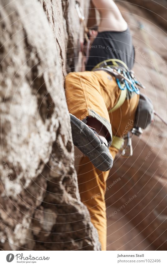 Aufsteiger des Monats Klettern Bergsteigen Karriere maskulin 1 Mensch 18-30 Jahre Jugendliche Erwachsene Natur Felsen Kletterschuh Kraft Willensstärke Mut