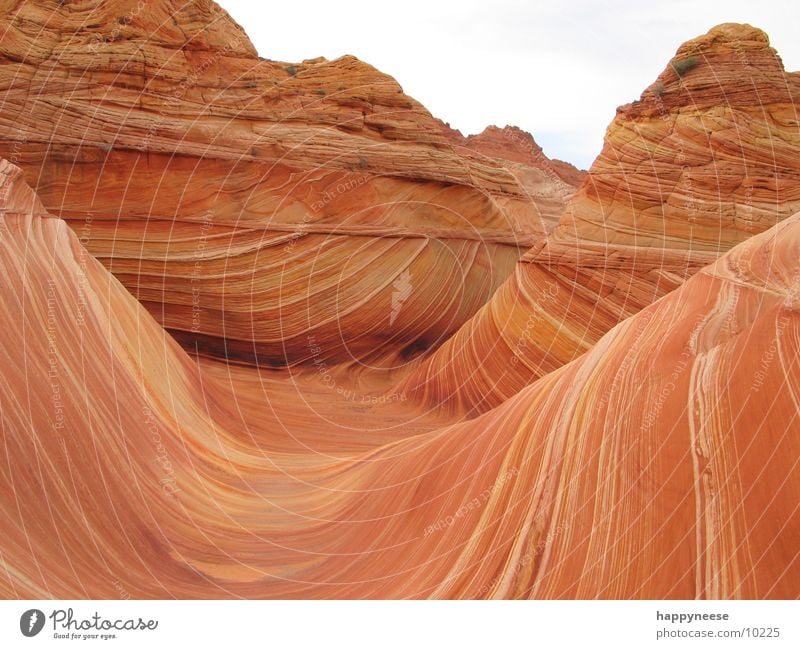 WAVE Arizona Utah Wellen the wave vermillion cliffs USA Felsen Stein Sand Wind