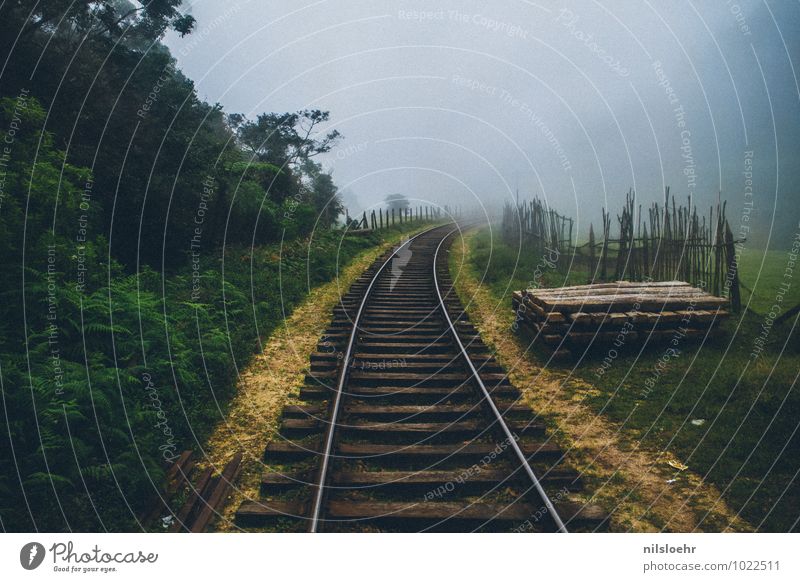 Richtung Nirgendwo Abenteuer Ferne Expedition Sommer Nebel Sträucher Urwald Verkehrswege Bahnfahren Schienenverkehr Eisenbahn Gleise braun grau grün entdecken