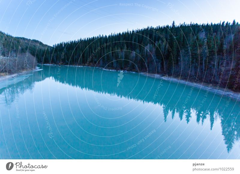 Gletscherwasser Umwelt Natur Landschaft Wasser Wolkenloser Himmel Herbst Schönes Wetter Baum Wald Felsen Berge u. Gebirge Fjord See Bach Fluss genießen