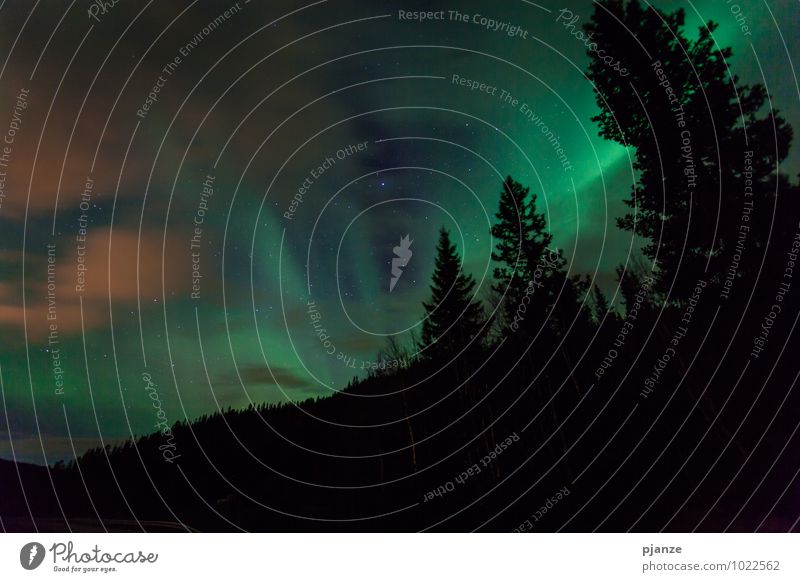 Dramatik Ausflug Abenteuer Ferne Berge u. Gebirge Natur Landschaft Pflanze Luft Himmel Wolken Nachthimmel Stern Herbst Wind Schnee Nordlicht Baum Feld Wald