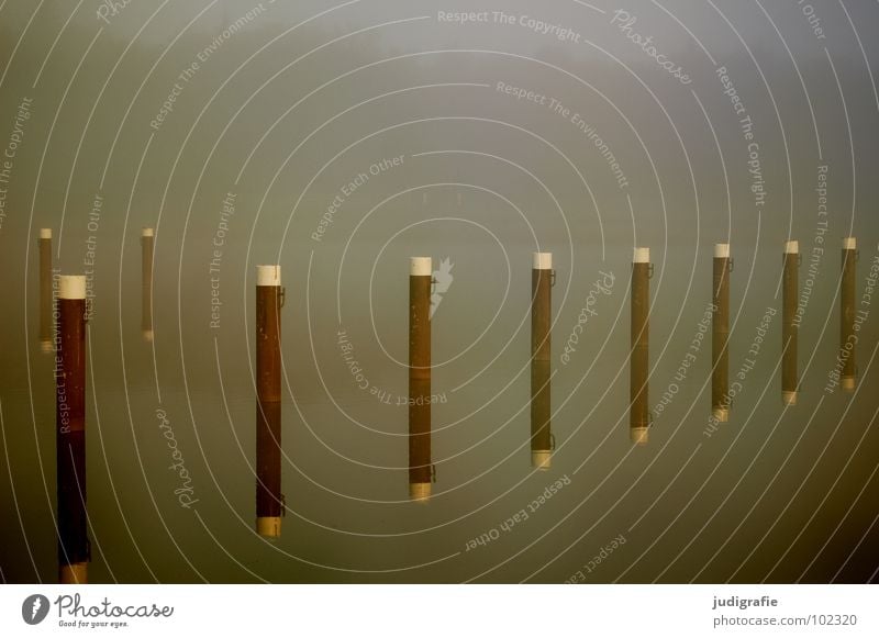 Morgens See Nebel Reflexion & Spiegelung ruhig Einsamkeit Prerow maritim Vorpommersche Boddenlandschaft Darß Fischland Hafen Wasser Pfosten Rost Reihe Natur