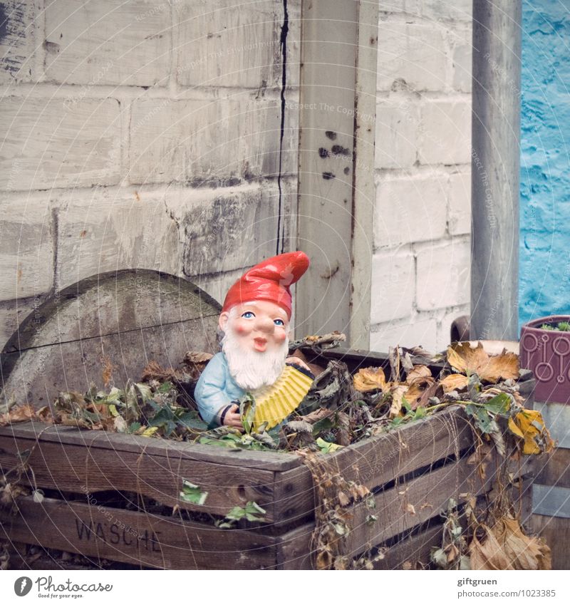 da sitz' ich nun... Mensch maskulin Männlicher Senior Mann 1 stehen alt blau rot Nostalgie Tradition Vergangenheit Gartenzwerge Nikolausmütze Akkordeon Kompost