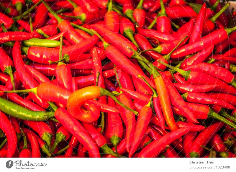 Pfefferoni / Chilli Lebensmittel Ernährung Essen Bioprodukte Vegetarische Ernährung Fasten harmonisch Wohlgefühl glänzend kaufen Gesundheit lecker Paprika