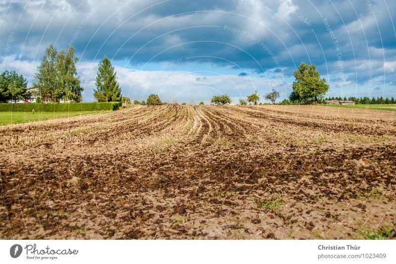 Erntezeit harmonisch Wohlgefühl Zufriedenheit Sinnesorgane Erholung ruhig Meditation Ausflug Sommer Erntedankfest Umwelt Natur Landschaft Erde Herbst