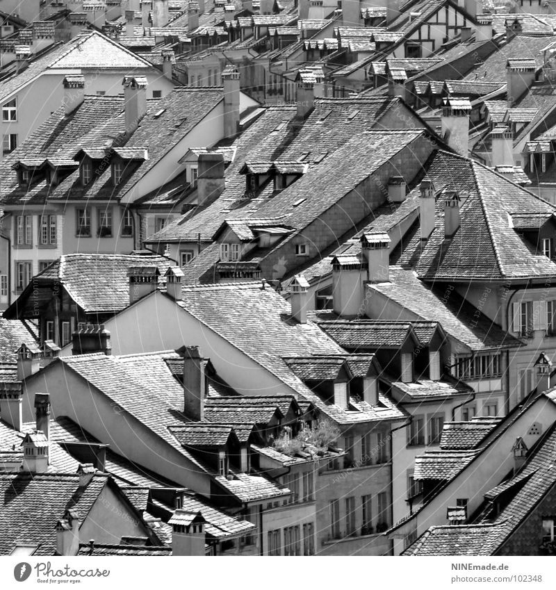 gut beDACHt! Dach Haus Backstein schwarz weiß Schornstein Fenster Dachgiebel Dachterrasse Rauch grau Stadt Schweiz Fachwerkfassade mehrere eckig Dreieck Quadrat