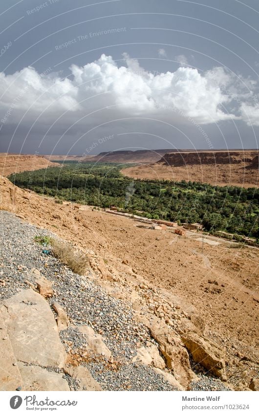 Vallée du Ziz Natur Landschaft Gewitterwolken Schlucht Oase Marokko Afrika bedrohlich Leben Ferien & Urlaub & Reisen Ziz-Tal Oasental Farbfoto Außenaufnahme