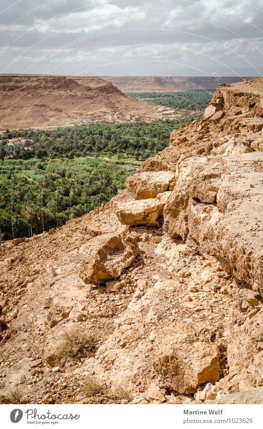 Vallée du Ziz 2 Natur Landschaft Erde Wasser Wolken Berge u. Gebirge Atlas Schlucht Oase Marokko Afrika Ferne Ziz-Tal Farbfoto Außenaufnahme Menschenleer Tag