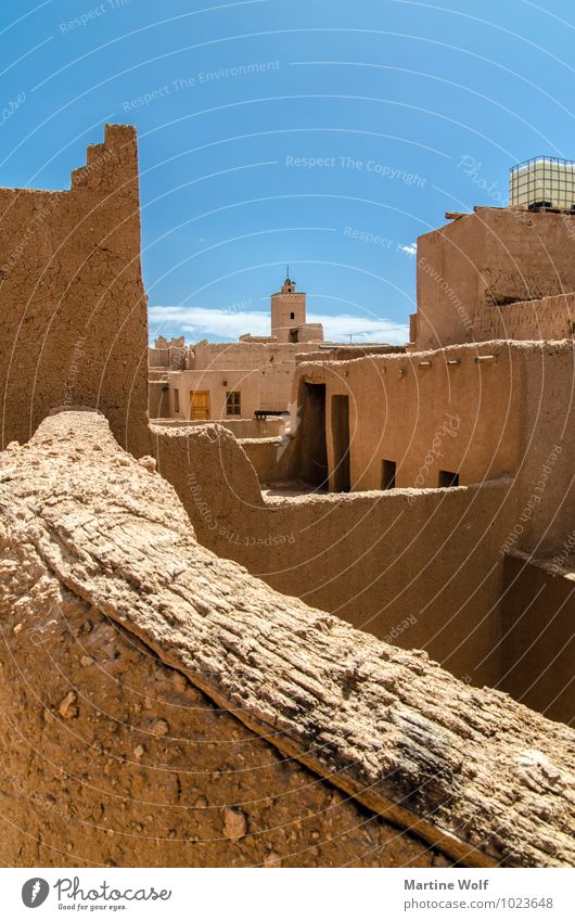 Marokko Wolkenloser Himmel Afrika Haus Moschee Ferien & Urlaub & Reisen Antiatlas Lehm Farbfoto Außenaufnahme Menschenleer Tag