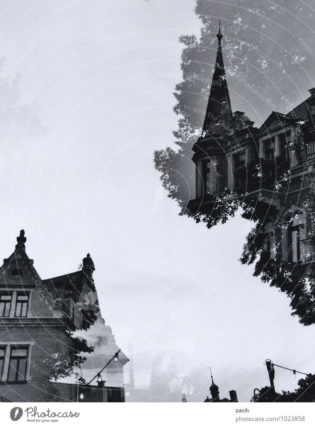 geteilter Himmel Städtereise Häusliches Leben Haus Traumhaus Baum Dresden Stadt Altstadt Burg oder Schloss Bauwerk Architektur Villa Fassade Balkon Fenster