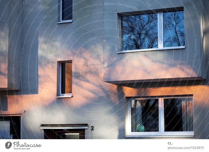 lichter Umwelt Sonnenlicht Herbst Klima Wetter Schönes Wetter Baum Haus Mauer Wand Fassade Fenster Vorhang Globus Häusliches Leben blau grau orange Lichtspiel