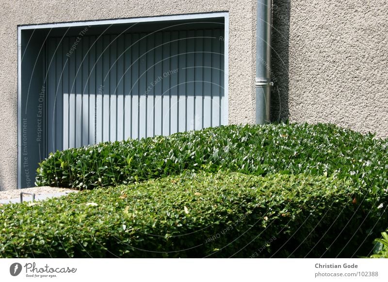 Akkurat Garage Tor Hecke Fallrohr Mauer grün blau Einfamilienhaus Vorgarten KFZ Heckenschere Gärtner Architektur Gut geschnitten