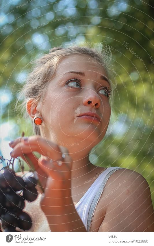 natürlich | ess ich die ... Frucht Ernährung Picknick Reichtum Gesunde Ernährung Leben Ferien & Urlaub & Reisen Sommer Sommerurlaub Feste & Feiern Erntedankfest