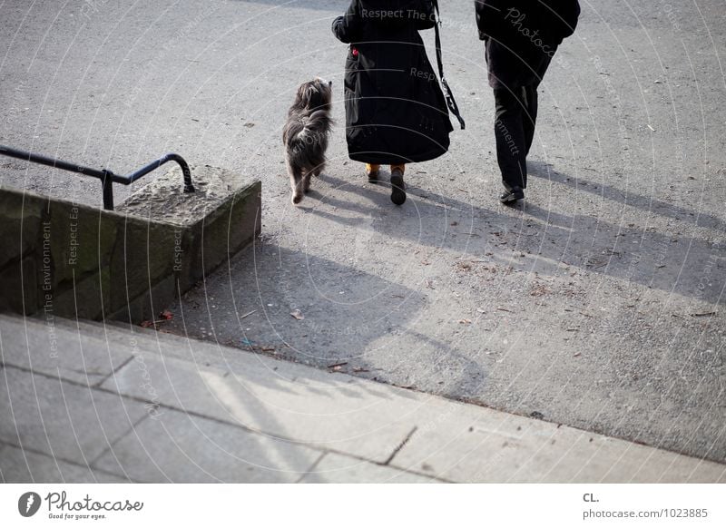 treppe runter, links Mensch Frau Erwachsene Mann Paar Partner Leben 2 Herbst Winter Schönes Wetter Mauer Wand Treppe Geländer Fußgänger Straße Wege & Pfade