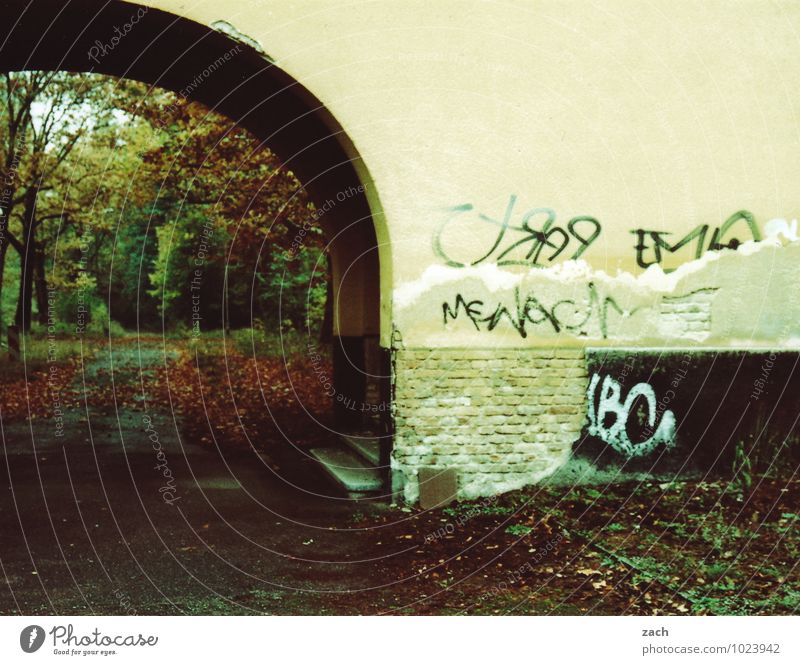 Durchfahrt Herbst Winter schlechtes Wetter Pflanze Baum Blatt Herbstlaub herbstlich Park Wald Haus Ruine Tor Mauer Wand Fassade Straße Wege & Pfade