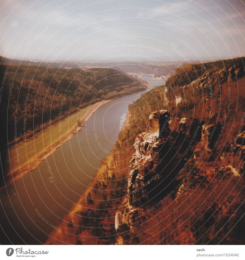 Immer das Elbe Ausflug Berge u. Gebirge Wasser Himmel Herbst Pflanze Baum Wiese Wald Hügel Felsen Elbsandsteingebirge Sächsische Schweiz Gipfel Küste Flussufer