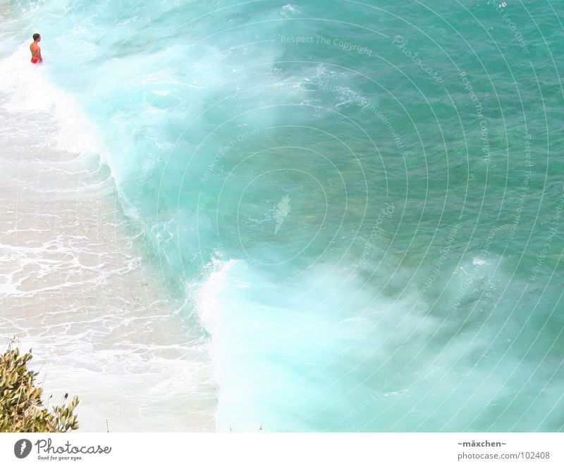 Wellentraum Meer Griechenland Mann Baum türkis zügellos Ferien & Urlaub & Reisen Erholung springen stehen Sommer Wasser wave Kuba Mittelmeer boy men blau Freude