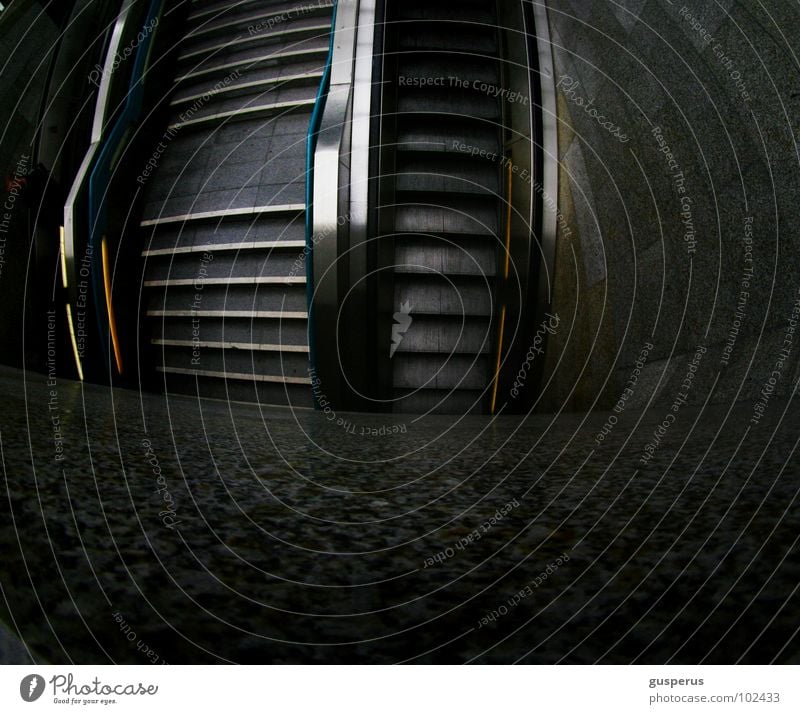 trepp {auf} trepp {ab} Rolltreppe Eingang U-Bahn Verkehr Öffentlicher Personennahverkehr offen Bahnhof Treppe von a nach b bus und bahn nicht selbst fahren