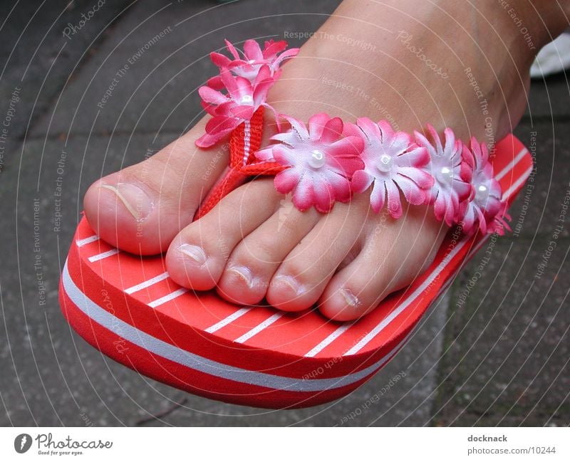 Hipp Flopps Flipflops Schuhe Zehen Sommer Fototechnik Fuß