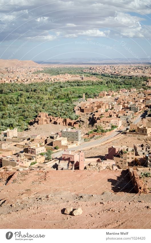 das große Tal Natur Landschaft Berge u. Gebirge Atlas Schlucht Wüste Oase Marokko Afrika Idylle Ferien & Urlaub & Reisen Ferne Antiatlas Todra Tal Oasental