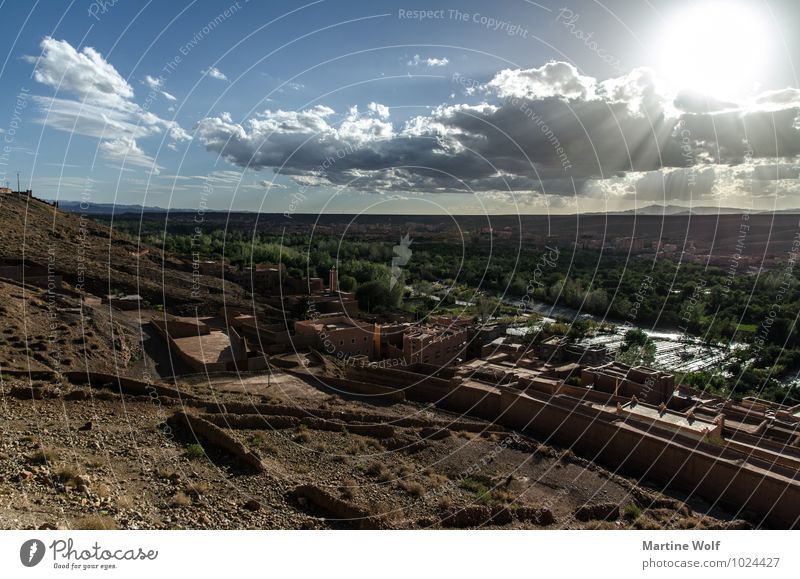 Wadi Dadis Natur Wolken Oase Boumalne Marokko Afrika Stadt Ferien & Urlaub & Reisen Antiatlas Boumalne Dadès Straße der Kasbahs Dadès-Tal Oasental Farbfoto