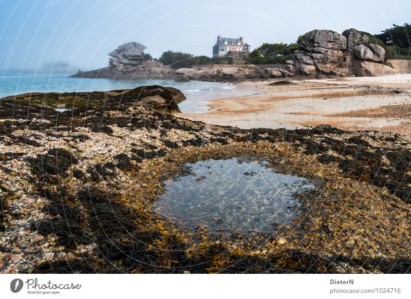 Haus amSee Umwelt Landschaft Sand Wasser Himmel Klima Wetter schlechtes Wetter Nebel Küste Strand Meer Atlantik Ploumanach Menschenleer blau braun gelb grau