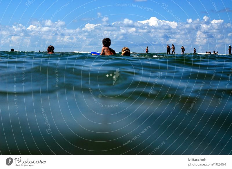 shark attack Meer Strand Mensch Sommer Ebbe Frankreich Seignosse Atlantik Haifisch Küste Wasser Schwimmen & Baden Sea Shark beobachten