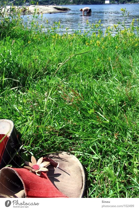 Käsefüße auf Wanderschaft Freude Sommer Freibad 1 Mensch Natur Schönes Wetter Blume Gras Fjord See Bach Fluss Schuhe Flipflops Schwimmen & Baden Erholung