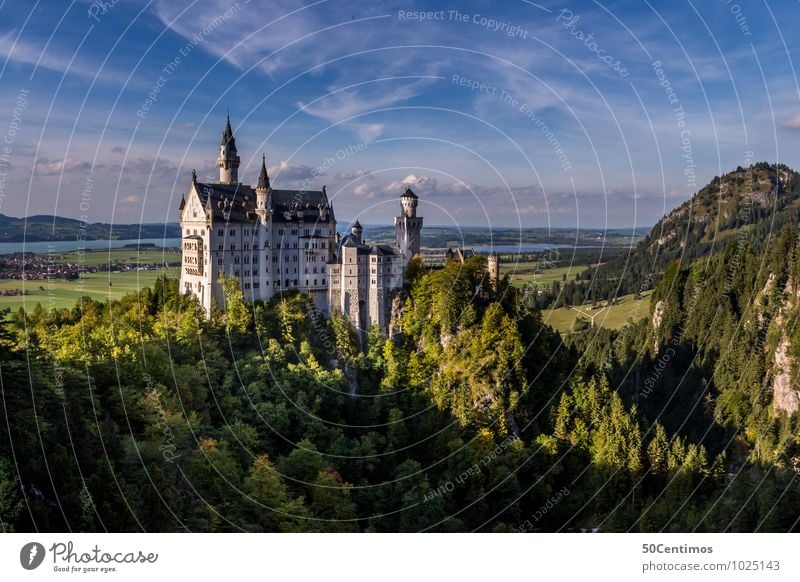 Schloss Neuschwanstein Tourismus Ausflug Abenteuer Städtereise Berge u. Gebirge Umwelt Natur Landschaft Himmel Wolken Frühling Sommer Schönes Wetter Wiese Feld