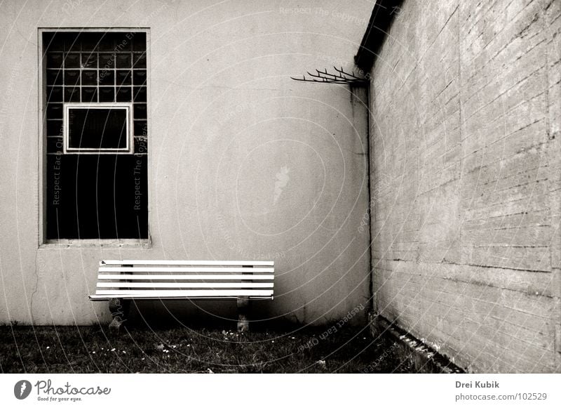 Backyard Seat - Bank im Hinterhof Garten Park Wiese Mauer Wand ruhig Traurigkeit Einsamkeit trist Zerbrochenes Fenster backyard concrete broken window meadow