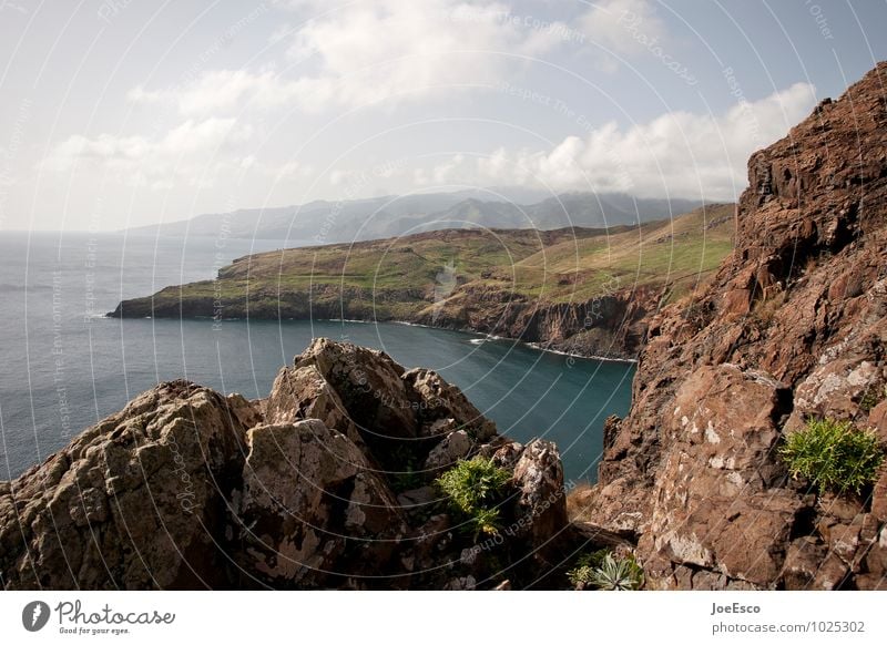 #1025302 Ferien & Urlaub & Reisen Tourismus Abenteuer Freiheit Meer Berge u. Gebirge Natur Landschaft Pflanze Urelemente Himmel Wolken Horizont Sommer Moos