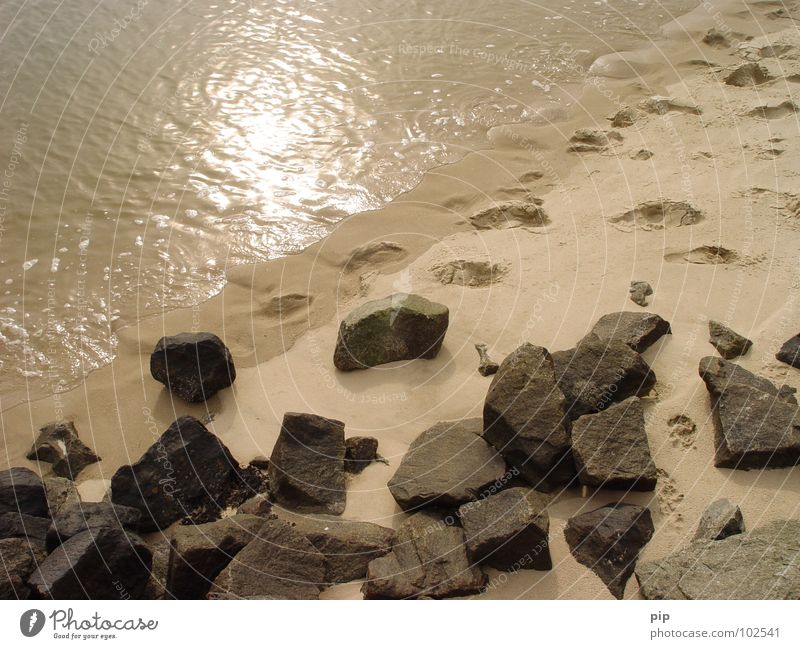 kurzwelle Meer See Wellen nass feucht Strand Reflexion & Spiegelung Grenze diagonal Sonnenbad Ferien & Urlaub & Reisen Ebbe Fußspur Hund Wasser Küste Nordsee