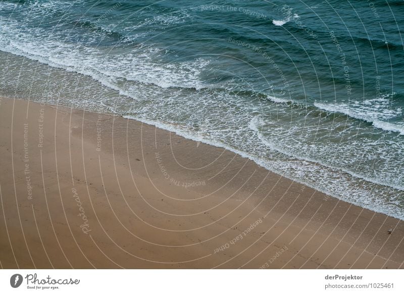 Sand-Strand-Meer Ferien & Urlaub & Reisen Tourismus Ausflug Abenteuer Freiheit Sommerurlaub Sonnenbad Umwelt Natur Landschaft Pflanze Tier Urelemente Wasser