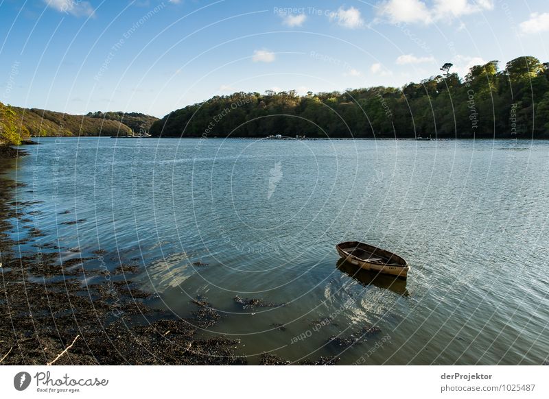 Ein Boot, ein Meeresarm Ferien & Urlaub & Reisen Tourismus Freiheit Umwelt Natur Landschaft Pflanze Urelemente Frühling Urwald Wellen Küste Seeufer Flussufer