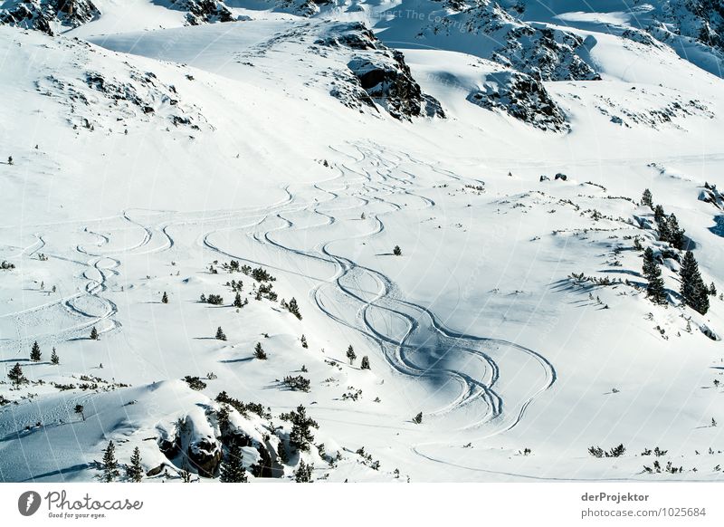 Spuren im Schnee Ferien & Urlaub & Reisen Tourismus Ausflug Ferne Sport Skifahren Umwelt Natur Landschaft Pflanze Urelemente Winter Schönes Wetter Hügel Felsen