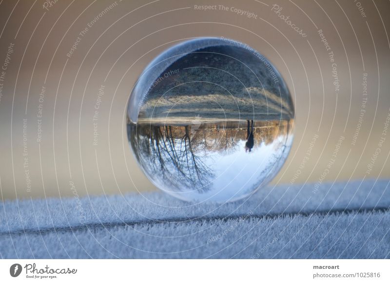 Gläserne Welt Winter Natur Erde Gras Wiese Glas Wasser frieren kalt blau ruhig Ferne Glaskugel eis schnee Frost Eiskristall gefroren ball durchsichtig natürlich